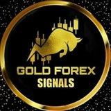 GOLD PRO TRADER