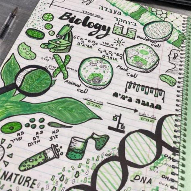BioZone🔬