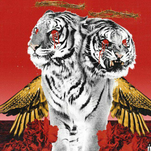 Polyphia Albums