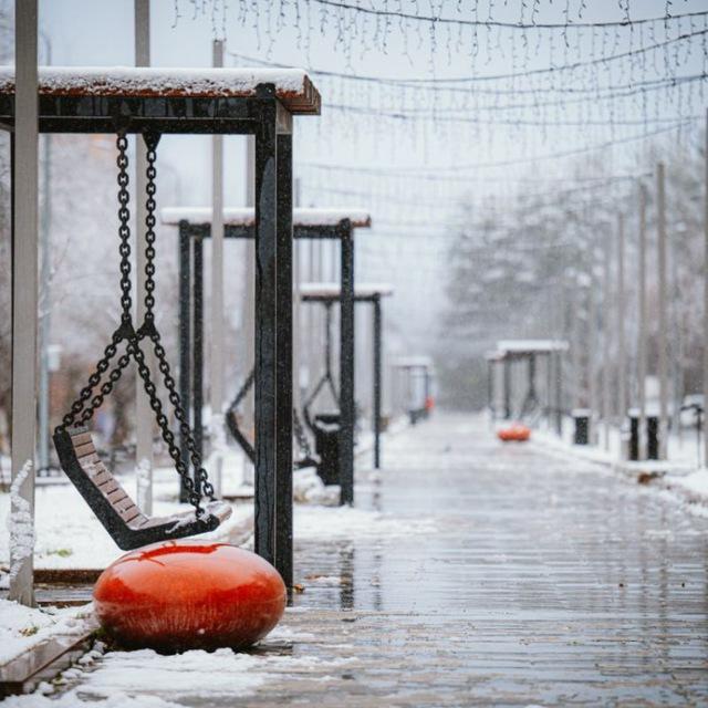 жизнь трг