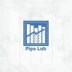 PIPS LAB ACADEMY