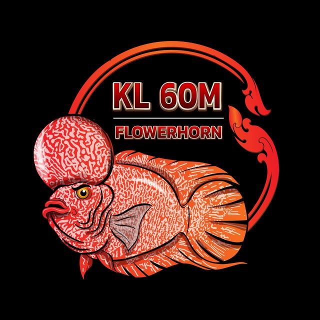 FLOWERHORN Community🇰🇭