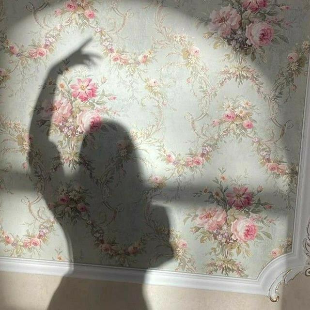 bₐₙₒₒ ₛₕₐₕₛₐᵥₐᵣ