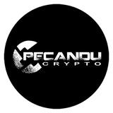 Pecandu Crypto