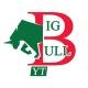 BIG BULL YT GANG