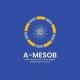 Addis MESOB - One Center Digital Government Service