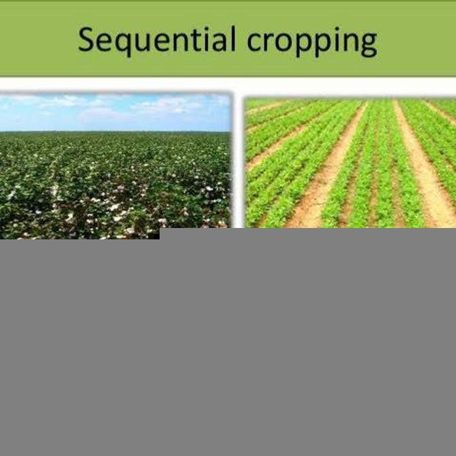Agriculture notes