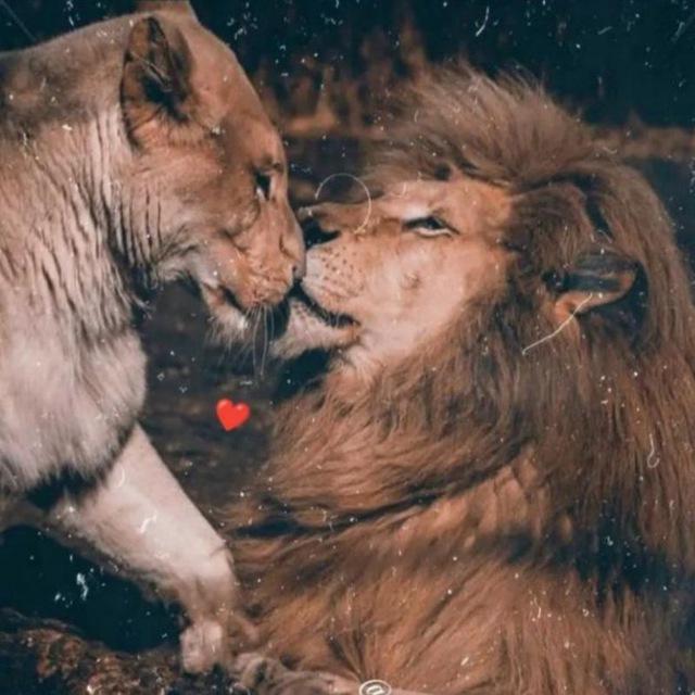 قربون صدقه