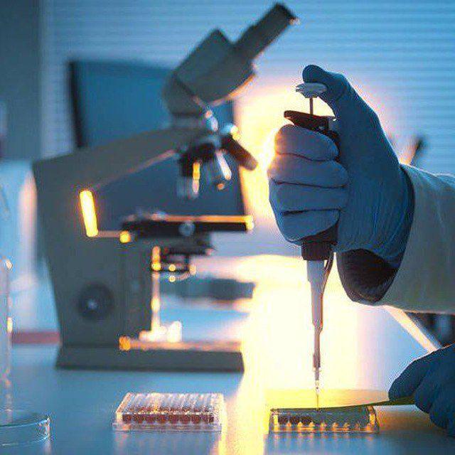Medical laboratories🧪🔬