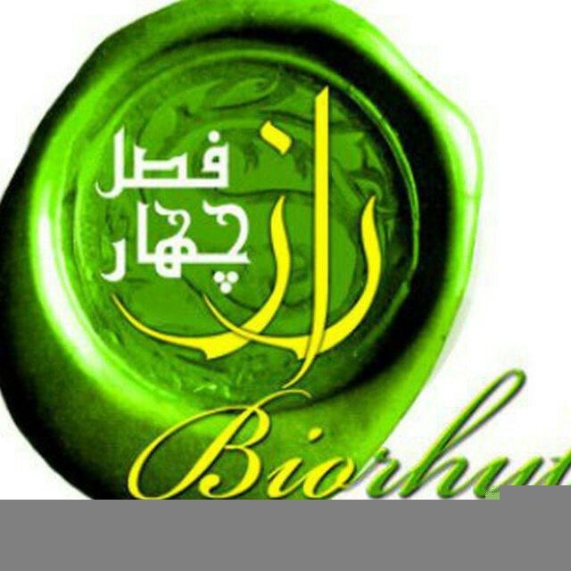 ⚛️ رازهای کوانتومی موفقیت ⚛️