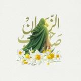 الطريق الى صاحب الزمـان🌿🤍
