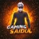 Gaming Saidul