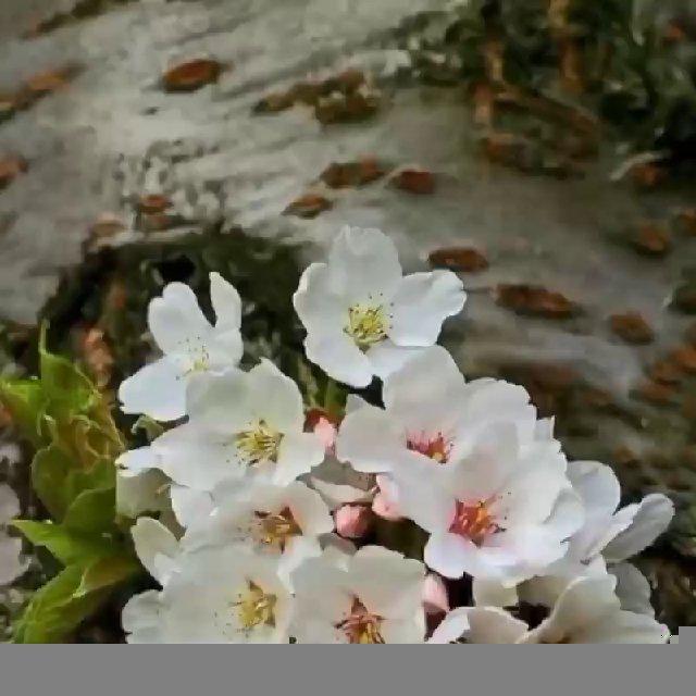 😍 کانال متن های خاص 😍