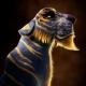 3D Animation
