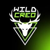 WILD CREO🦌| КРЕАТИВИ › VIDEO CREATIVES FOR ADS › WEB DESIGN › AFFILIATE › BANNERS › UGC › PLAYABLE