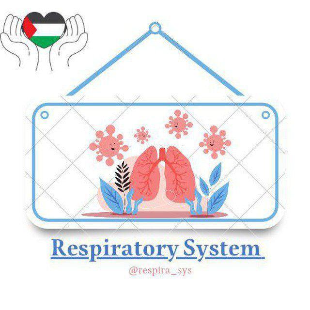 Respiratory System