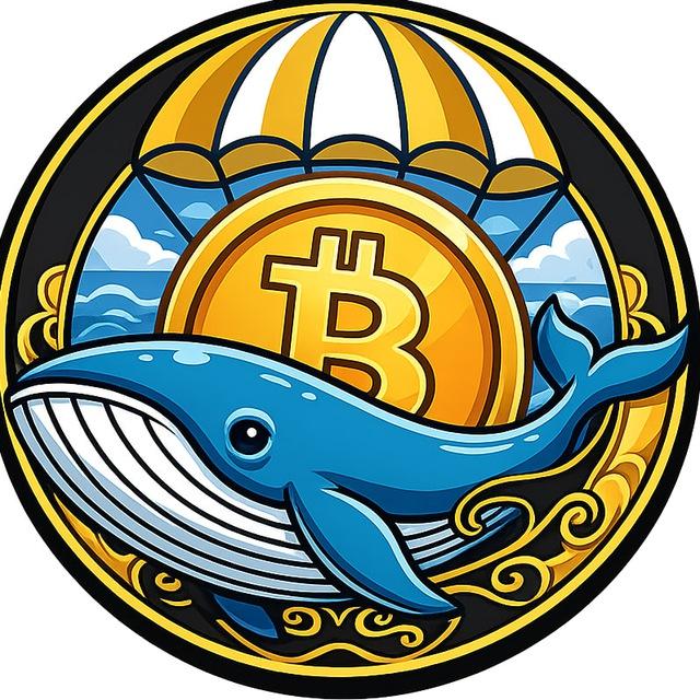 🟢Whale Finance Noticias