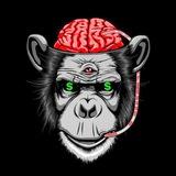 Bet MINDS🧠