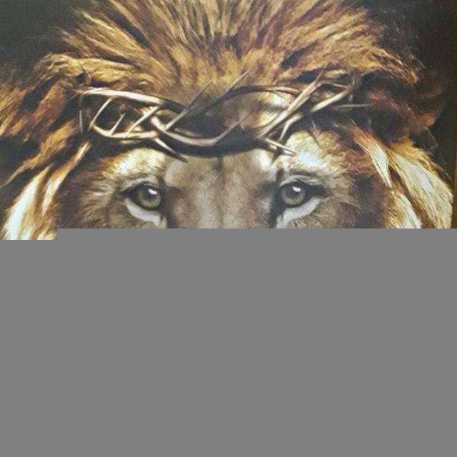 Despertando Leões 🦁💥
