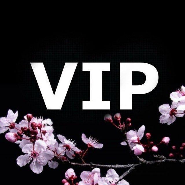 Статистика VIP Dobrov&Sakura