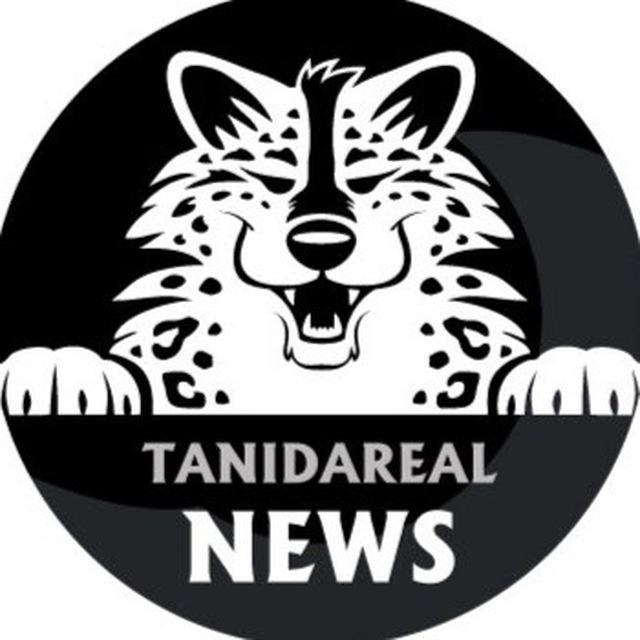 TaniDaReal - Art & News Channel