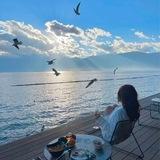 晴晶业务通知群