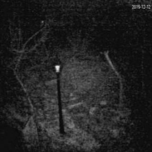 CCTV vision