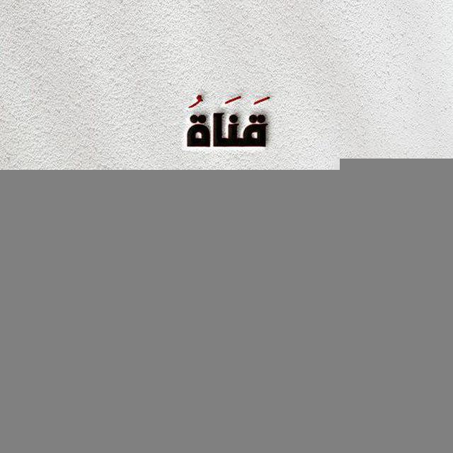 القناة الرسمية لأبي بشار بشير الأيوبي.