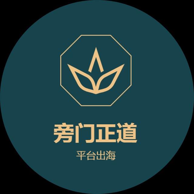 外汇 MT5 ST5 币盘