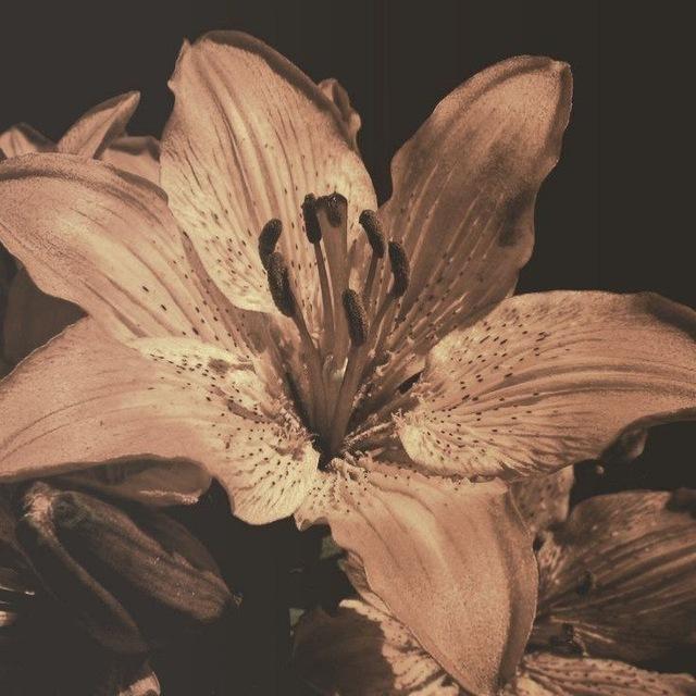 389