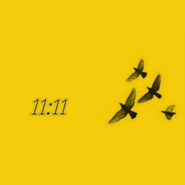 11:11 💛
