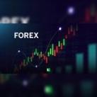 توصيات فوريكس ( FOREX )