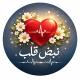 نبض قلــب ❤️