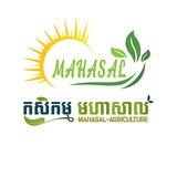 មហាសាល