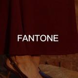 FANTONE Челны