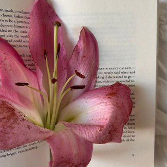 ﾟ𝘴𝘱𝘢𝘤𝘦 𝘧𝘰𝘳 𝘮𝘦 𐙚₊🌷