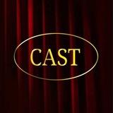 CAST для БИЗНЕСА