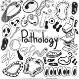 Histo-Pathology 6th class