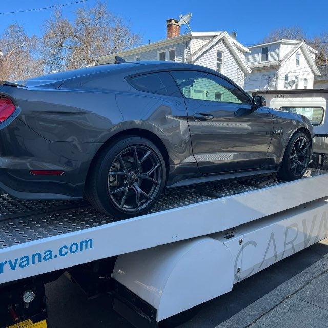 Carvana Gang🚘