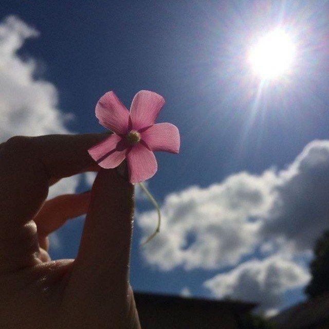 افسانه کاریزما🌸
