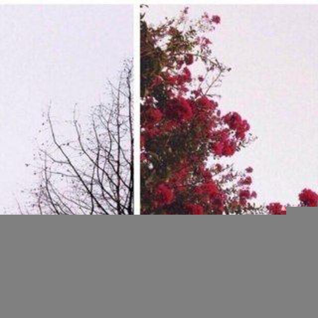 - دعاء و اقتباسات قرانيه 🤍.