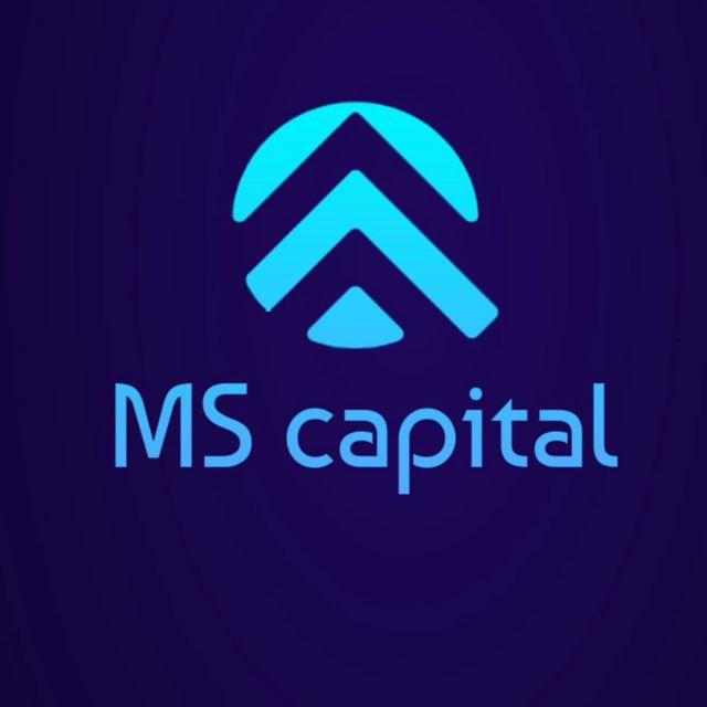 MS Capital Signal Channel