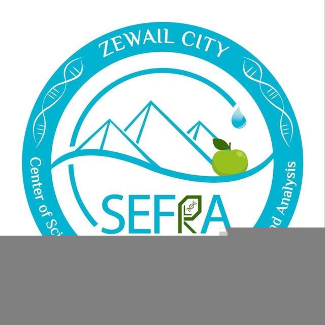 cSEFRA, Zewail City