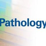 PATHOLOGY - AIM4PG