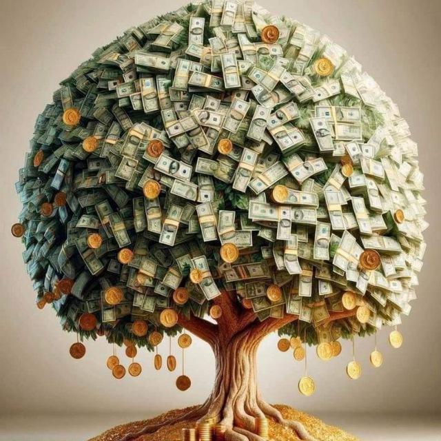 رشد فردی | زندگی حرفه‌ای