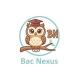 Bac Nexus