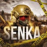 SENKA Arena Breakout