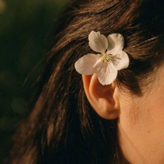 پناه🌱