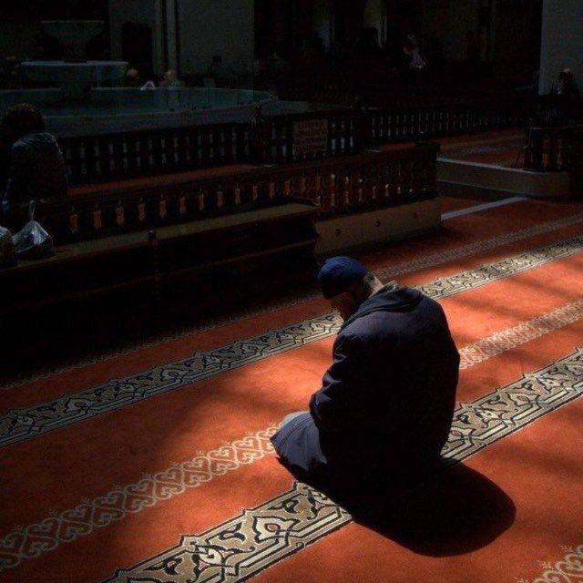 راحَـه .