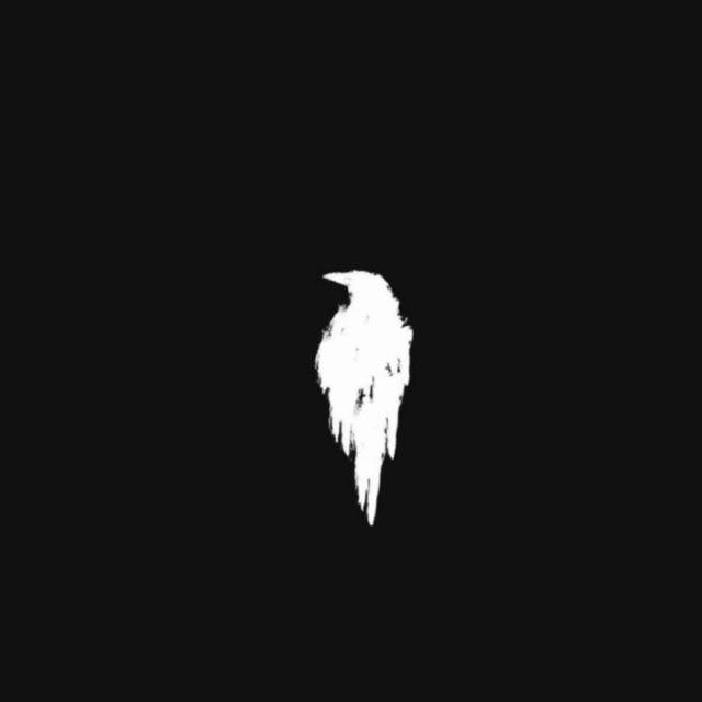 دٍعٌم اَلْـبَـاشَـا📄⛔